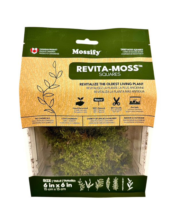 Revita-Moss Fern Moss