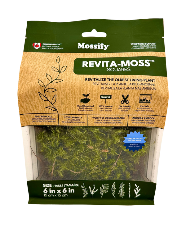 Revita-Moss Mood Moss