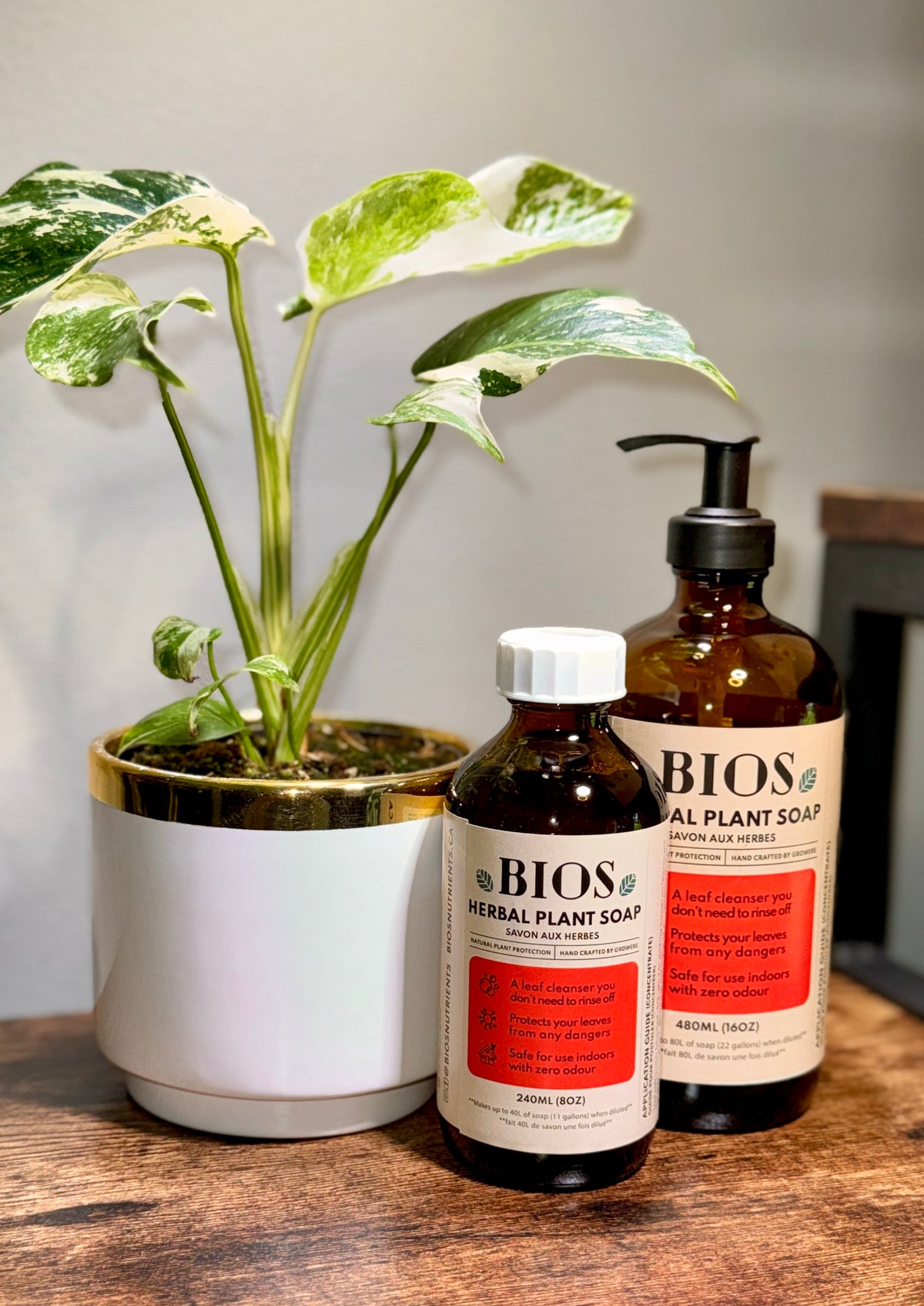 Two amber glass bottles of BIOS Herbal Plant Soap with white and red labels, displayed on a wooden surface next to a potted variegated plant.