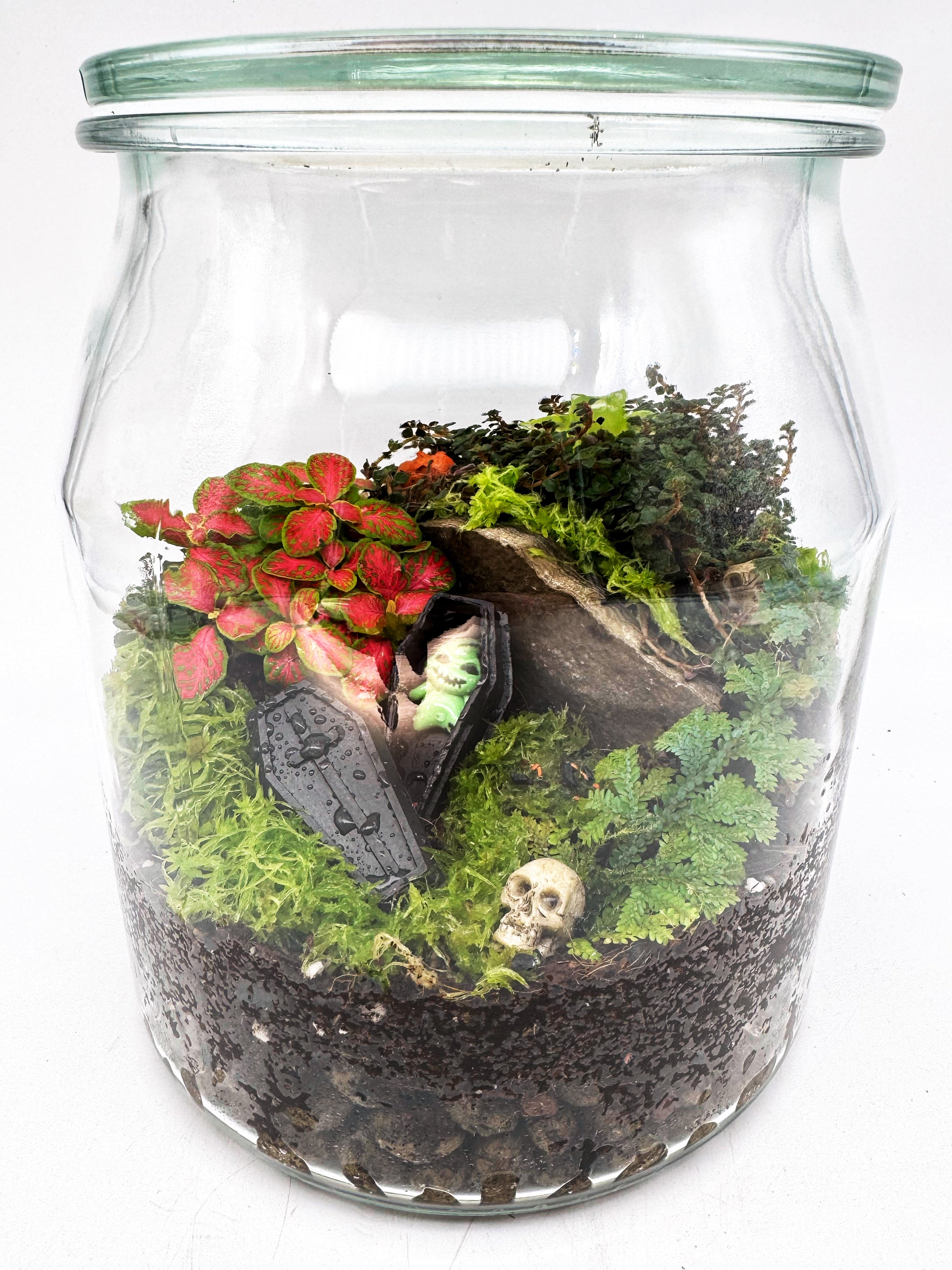 Spooky Closed Terrarium Workshop - October 19th