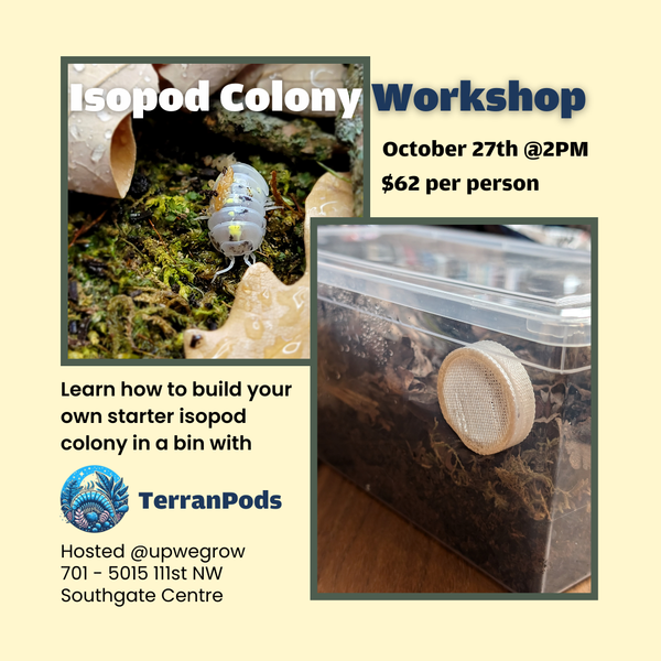 Isopod Starter Colony Workshop - October 27th