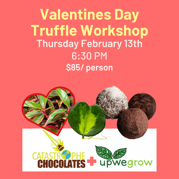 Valentines Day Truffle Making Workshop - February 13th