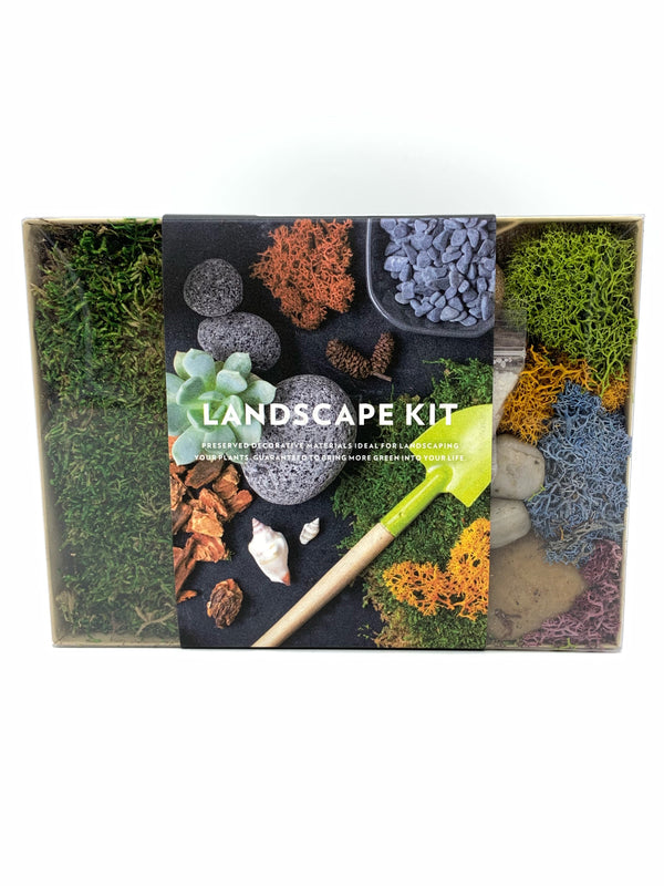 Terrarium Landscape Kit