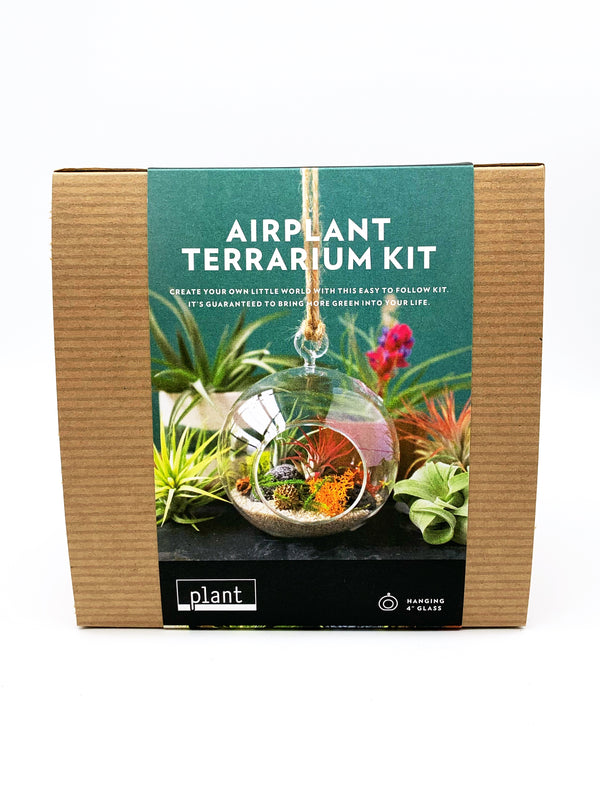 Hanging Airplant Terrarium Kit